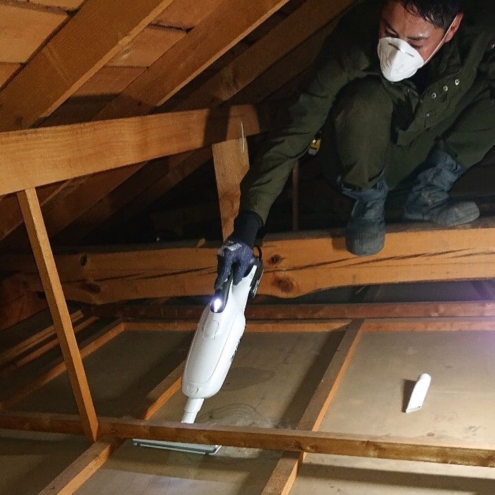 天井裏のハクビシンのフンの清掃