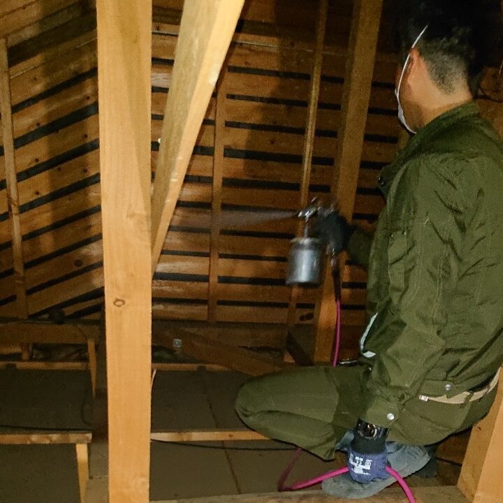 天井裏のハクビシン駆除後の殺菌作業