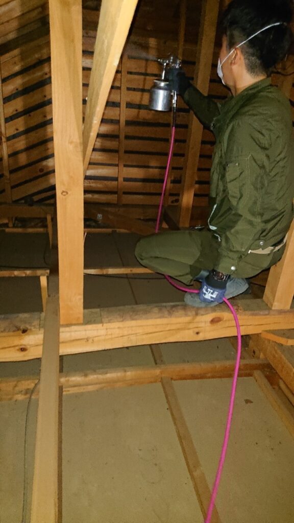 天井裏などコウモリ駆除後の殺菌消毒作業