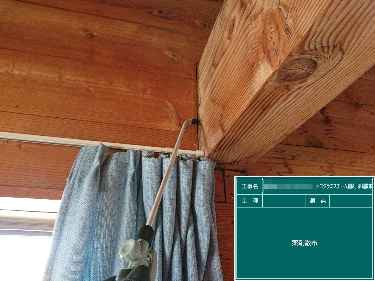 柏市の一戸建てのトコジラミ駆除作業