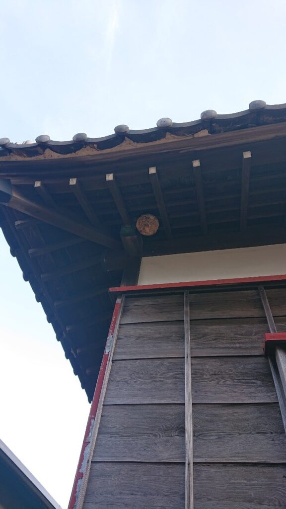 千葉県でのハチ駆除（軒天にできたスズメバチの巣