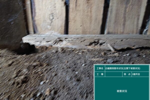 成田市のシロアリ駆除床下被害